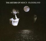 Sisters Of Mercy, The - This Corrosion